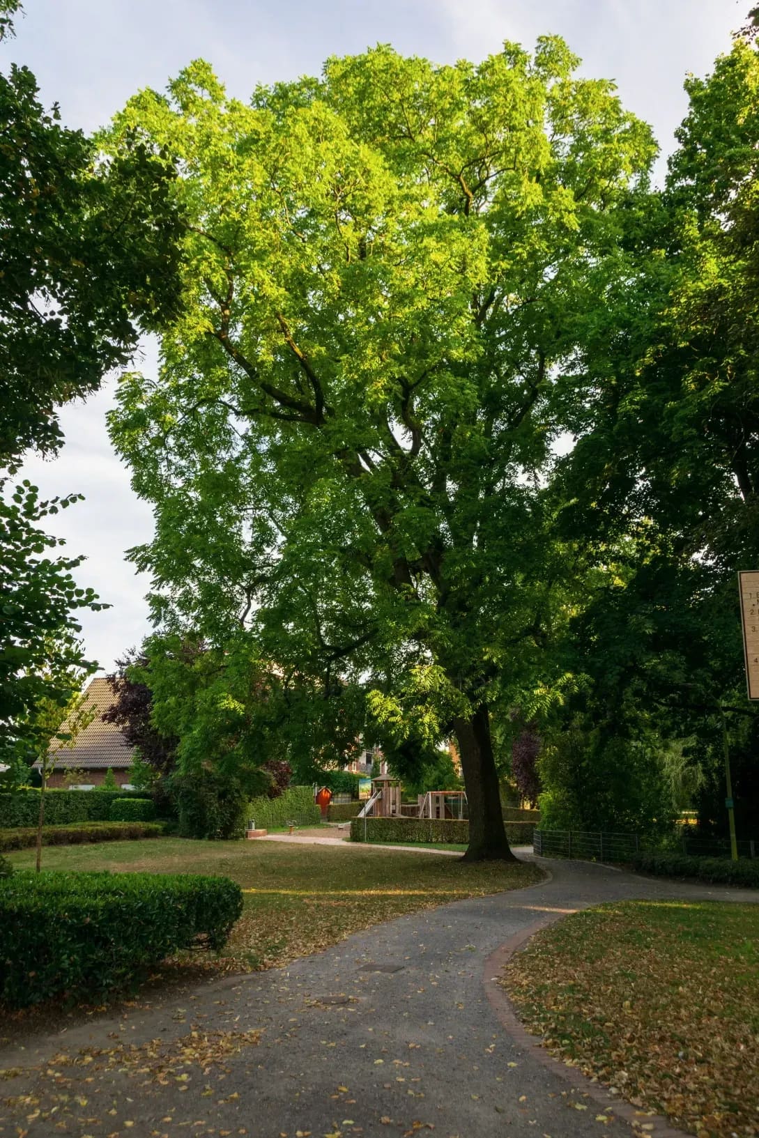 Oesterle Gartenbau 13