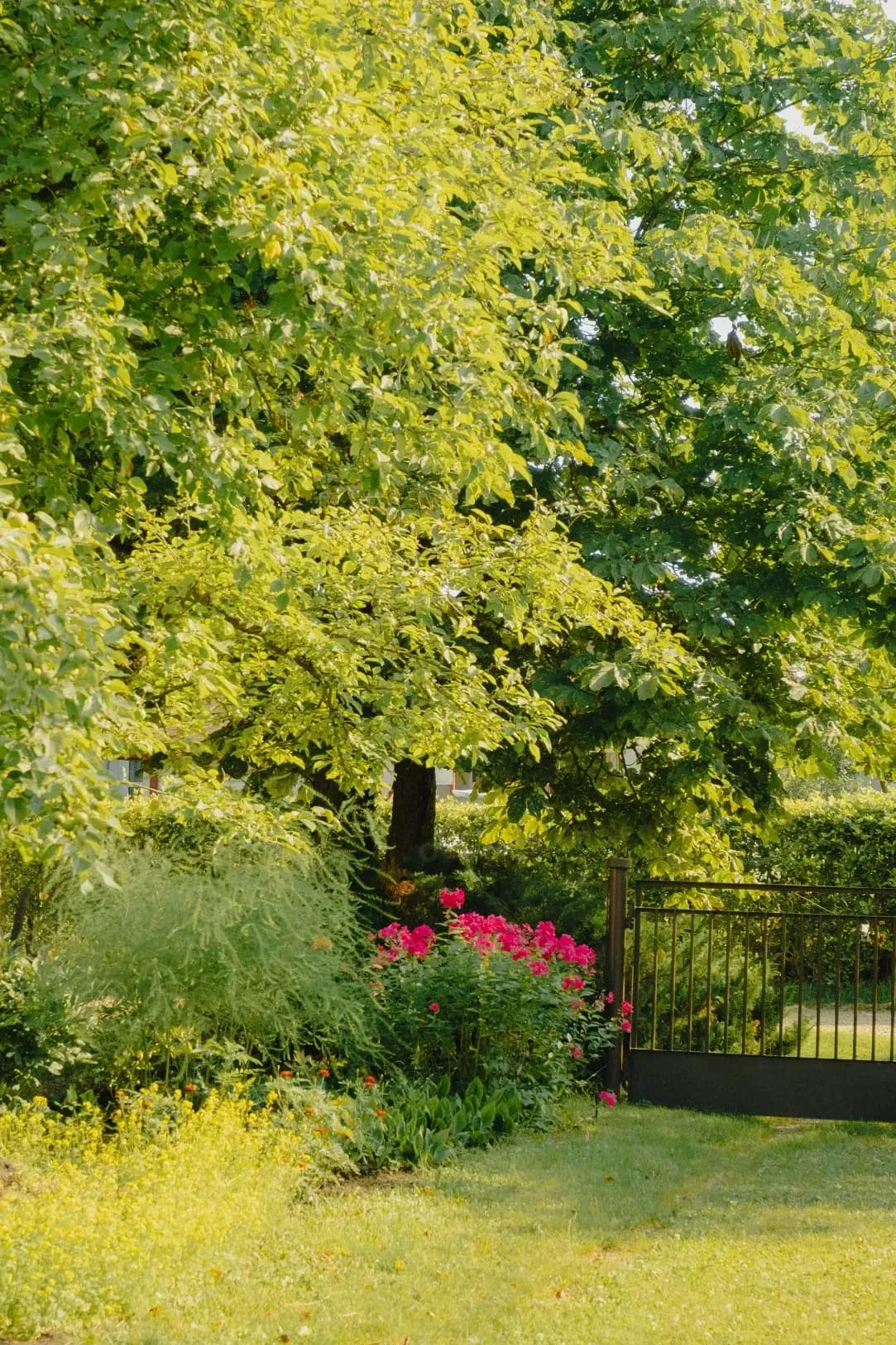 Oesterle Gartenbau 5